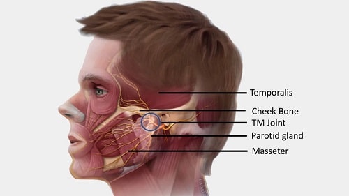Dấu Hiệu Nhận Biết và Triệu Chứng Của Viêm Xương Hàm